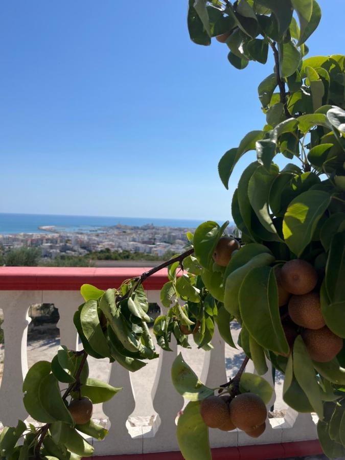 Case Vacanze Con Vista Panoramica Da Antonella เวียสเต ภายนอก รูปภาพ
